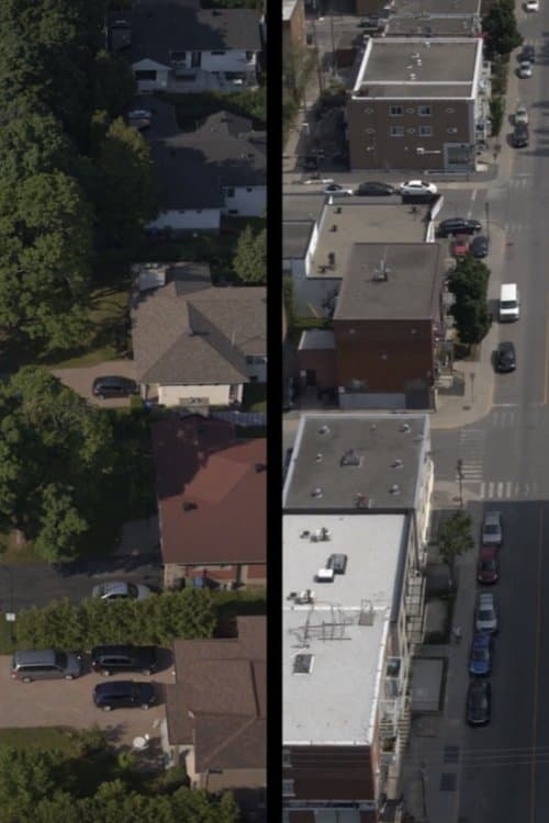 Neighbors in my backyard