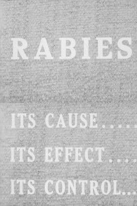 Rabies