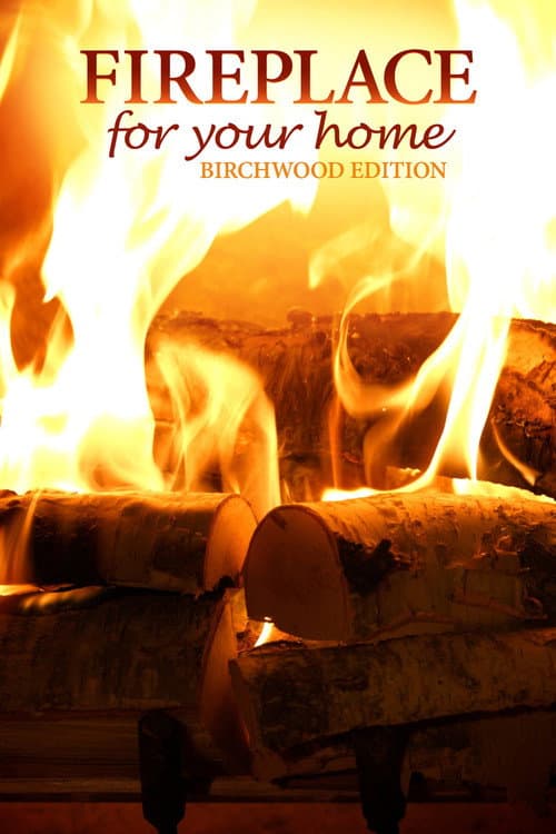 Fireplace for Your Home: Birchwood Edition