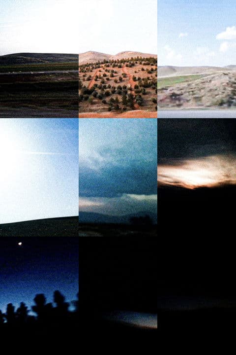 The Severed Heads Are Smiling.