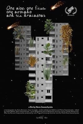 One Aloe, One Ficus, One Avocado and Six Dracaenas