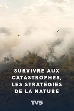 Survivre aux catastrophes, les stratégies de la nature